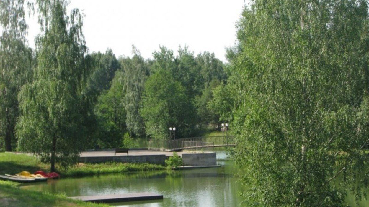 Лесные пруды Алексеевка