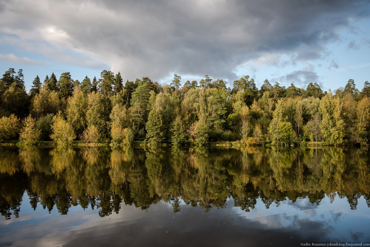 Мещерский парк Солнцево