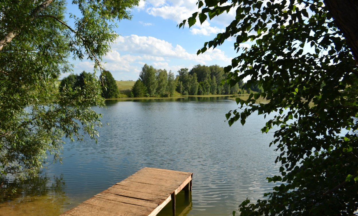 Река Пехорка в Балашихе