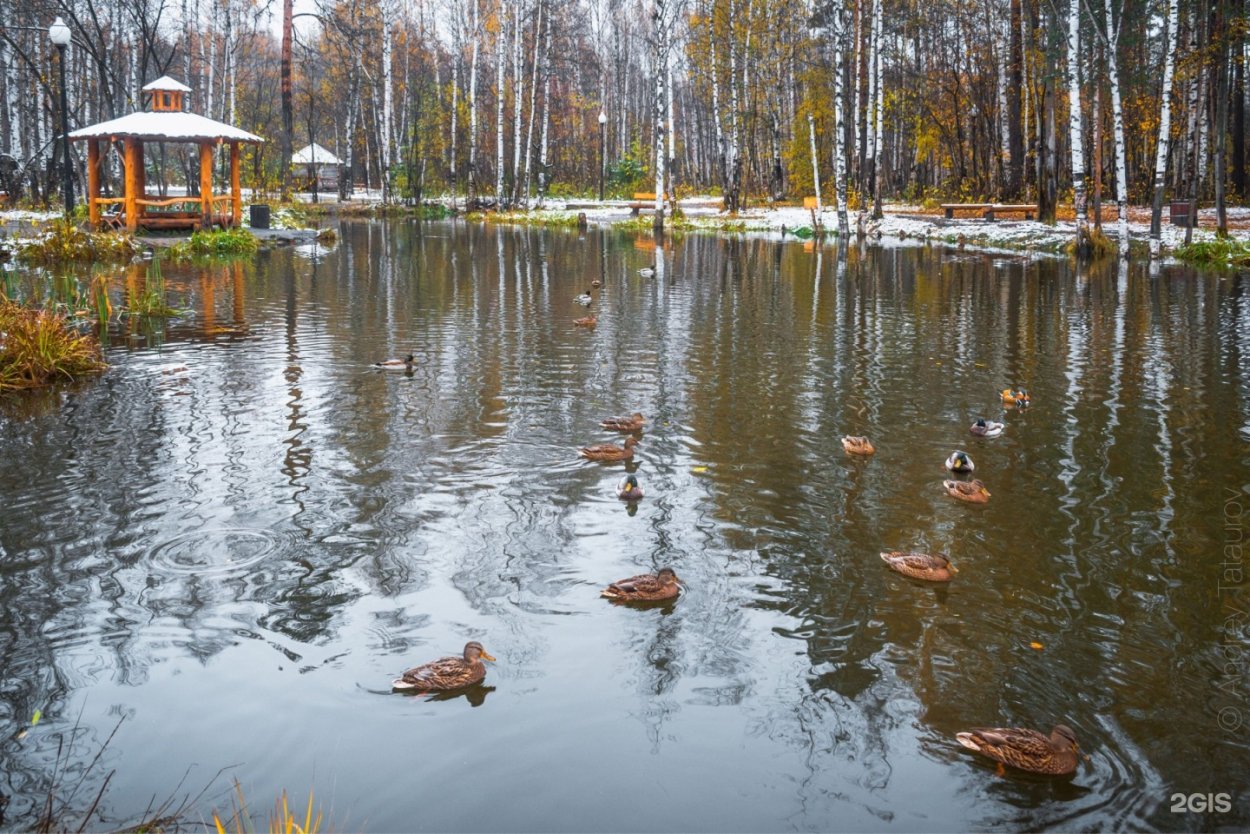 Коттеджный поселок большая вода Истринский район