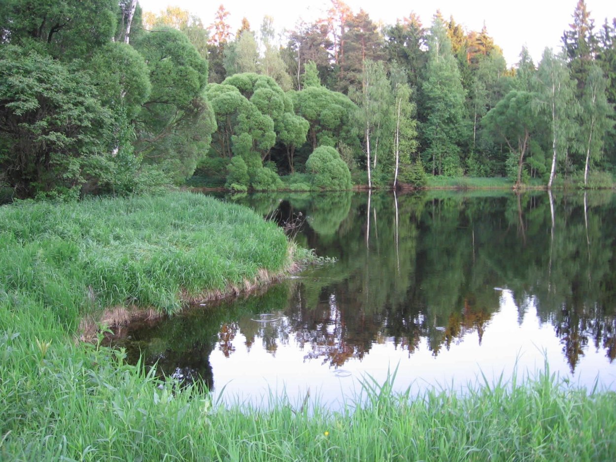 Отели с конными прогулками Подмосковье
