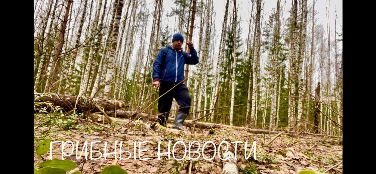 Сморчки на рынке