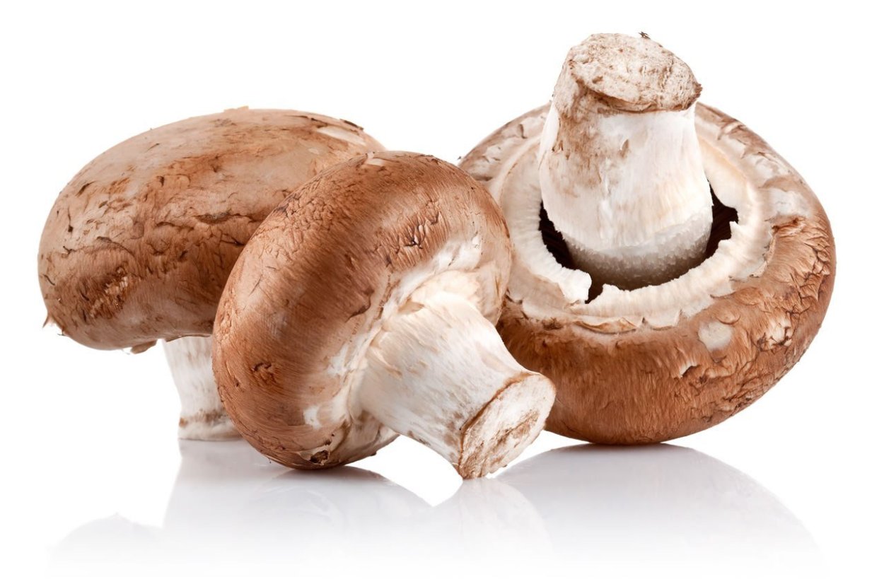 Шампиньон Луговой Agaricus Campestris