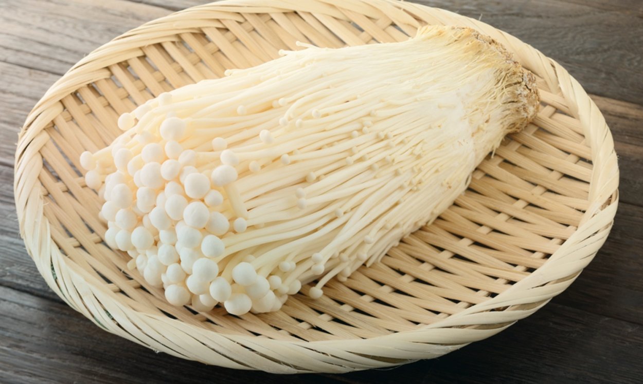 Грибы иглы