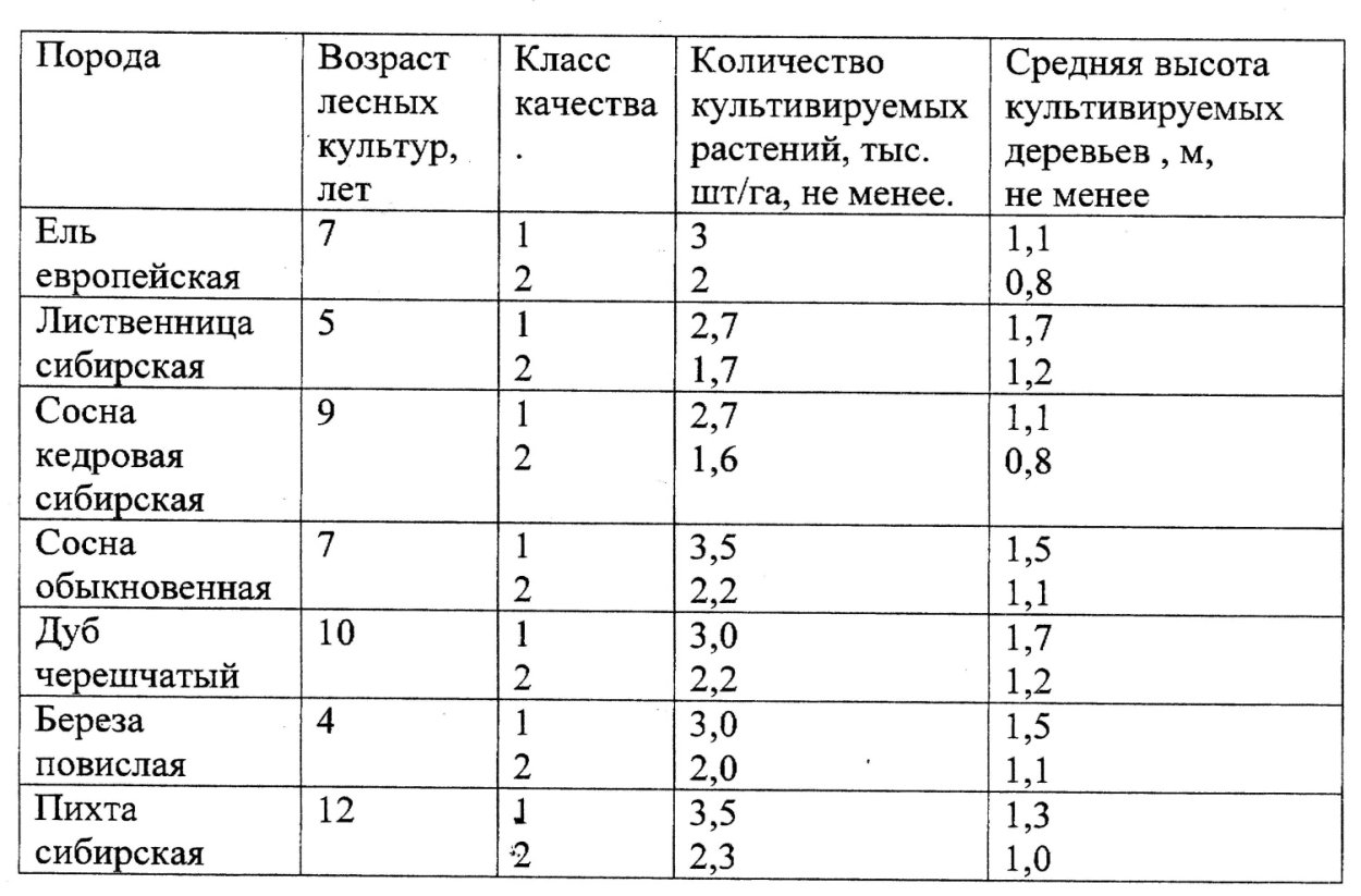 Перевод лесных культур в покрытую лесом площадь