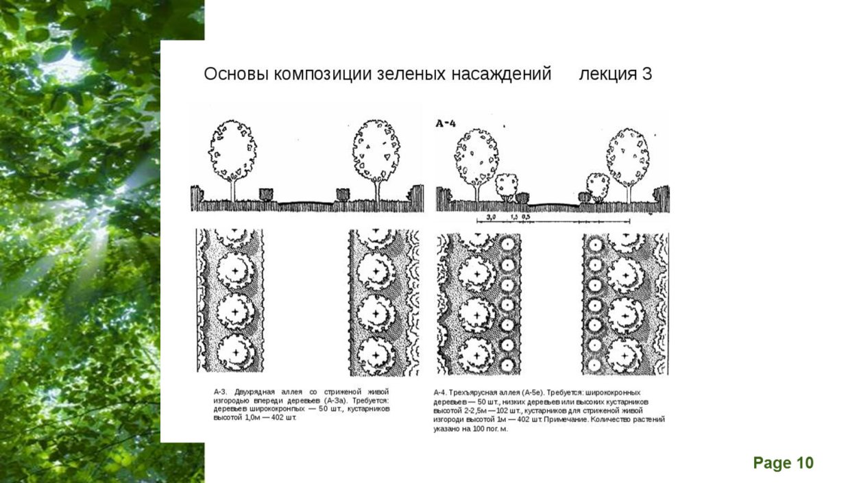 Схема оздоровления древесно-кустарниковых растений