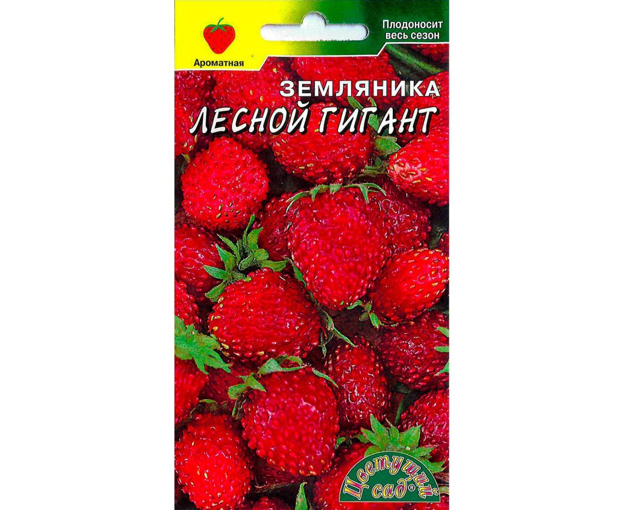 Земляника Лесной гигант /цвет сад/