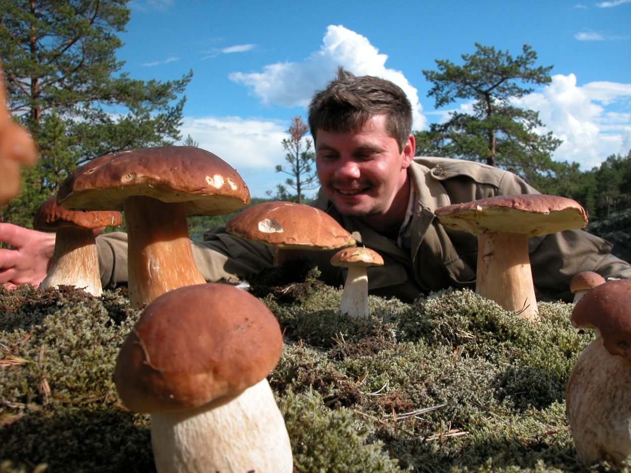 Грибники любители