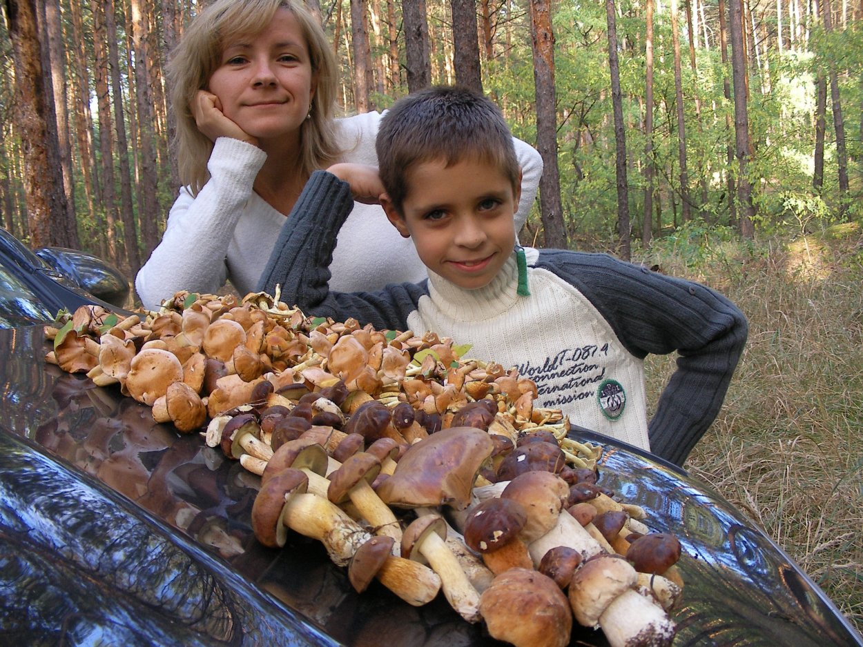 Грибники в Америке