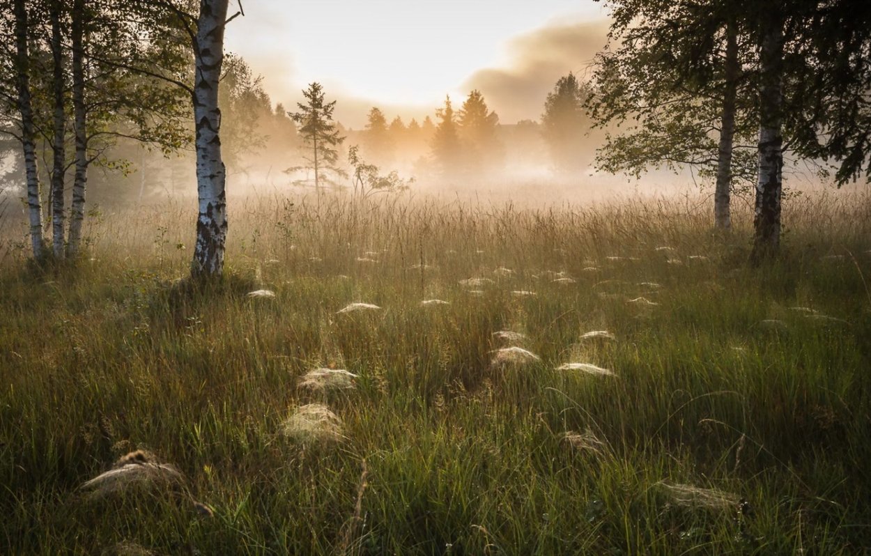 Русская природа
