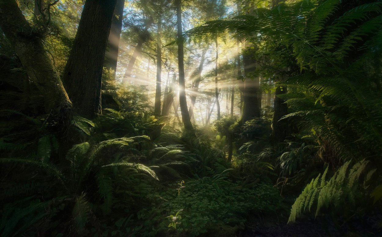 Marc Adamus (Марк Адамус