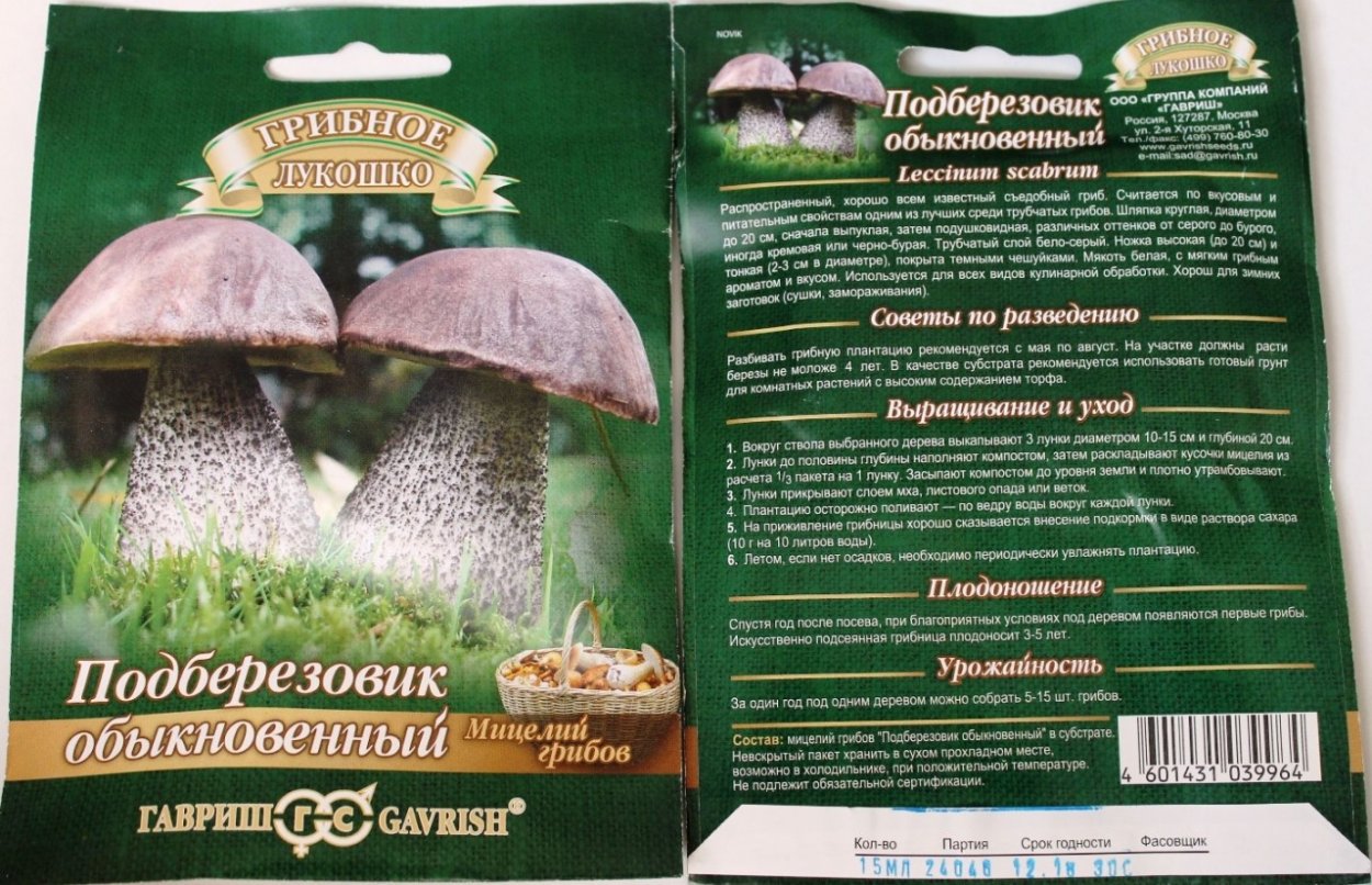 Ложный ложный подберёзовик