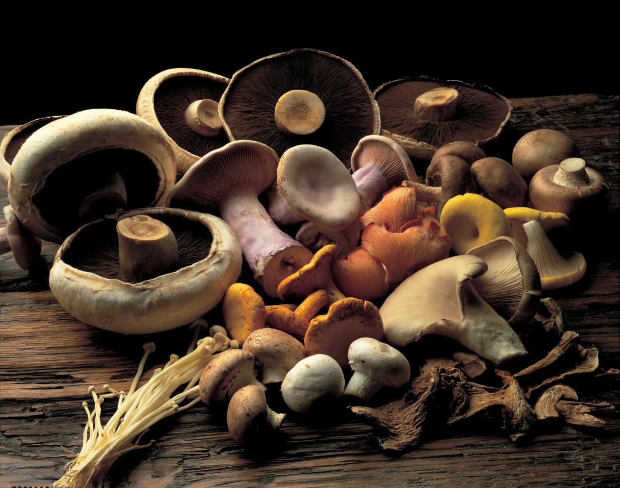 Подвиды грибов