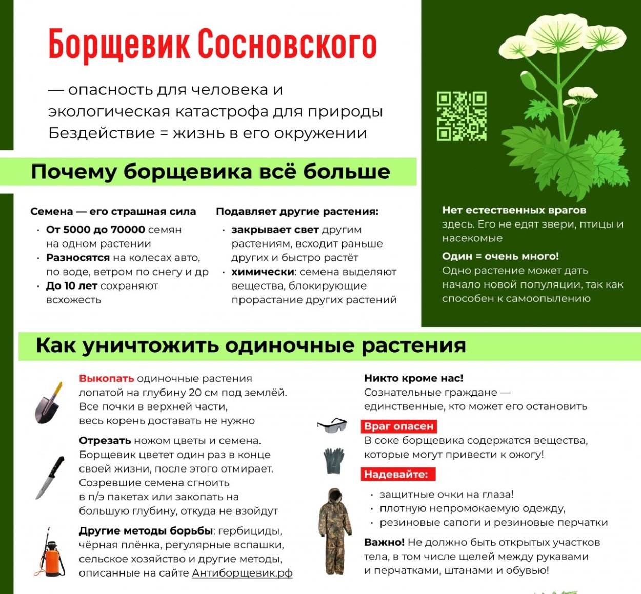 Грибы с подсветкой Мартина Пфистера