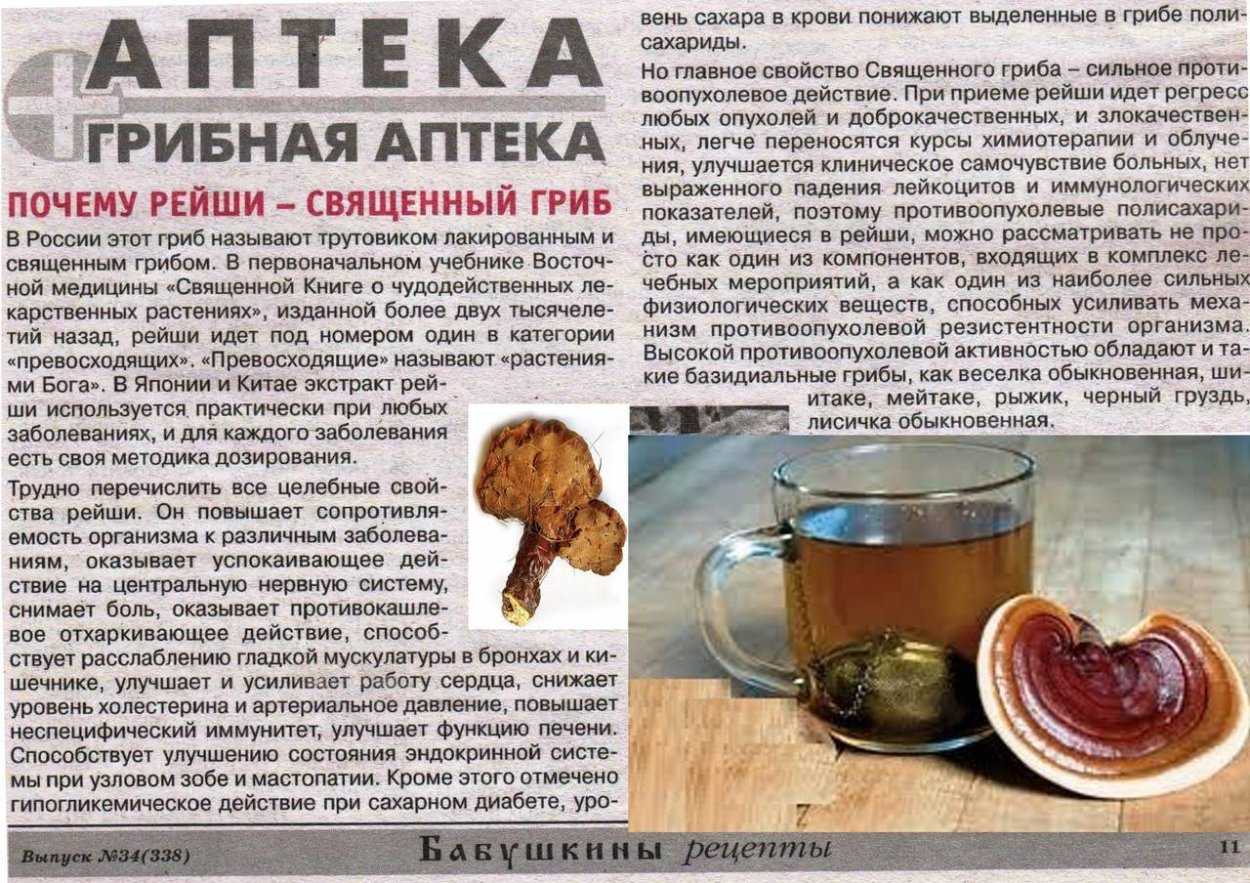 Биозан биологическая здравница