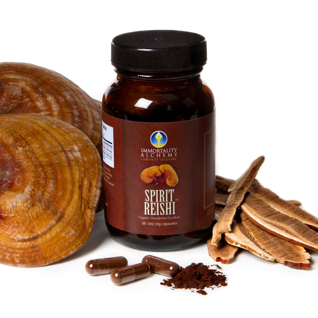 Трутовик лакированный Ganoderma lucidum
