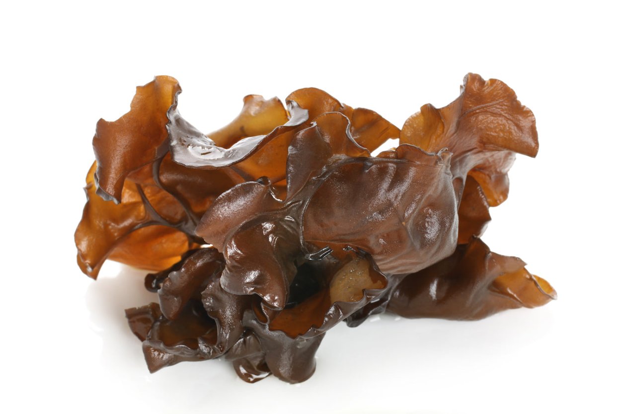 Дрожалка листоватая Tremella foliacea