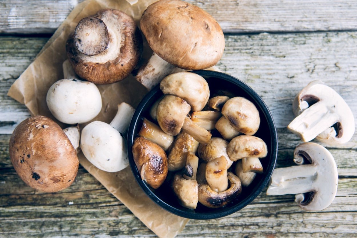 Suillus granulatus маслёнок зернистый