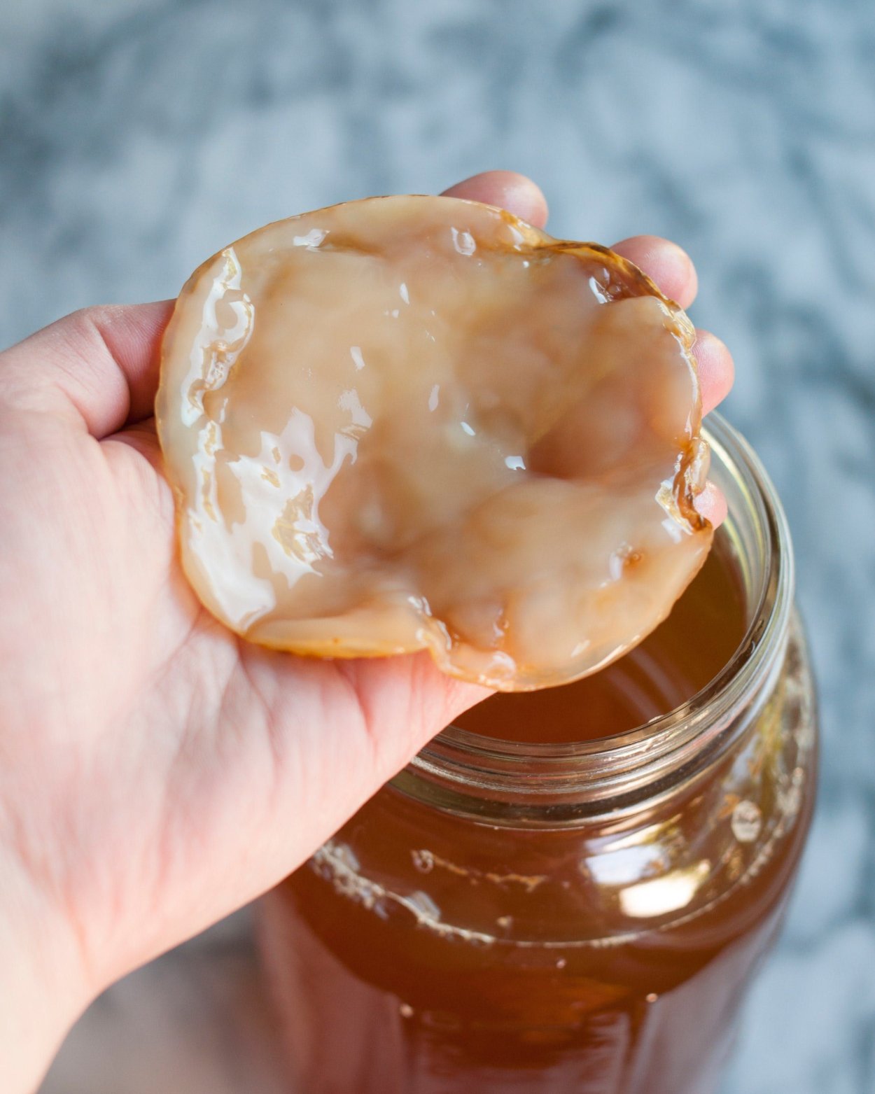 Kombucha чайный гриб