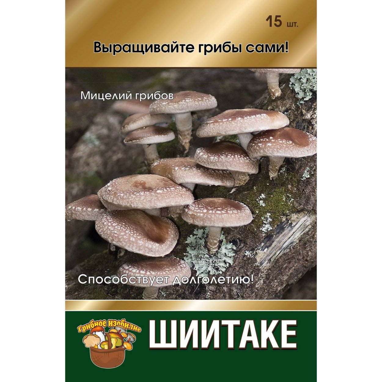 Грибы Эноки и шиитаке