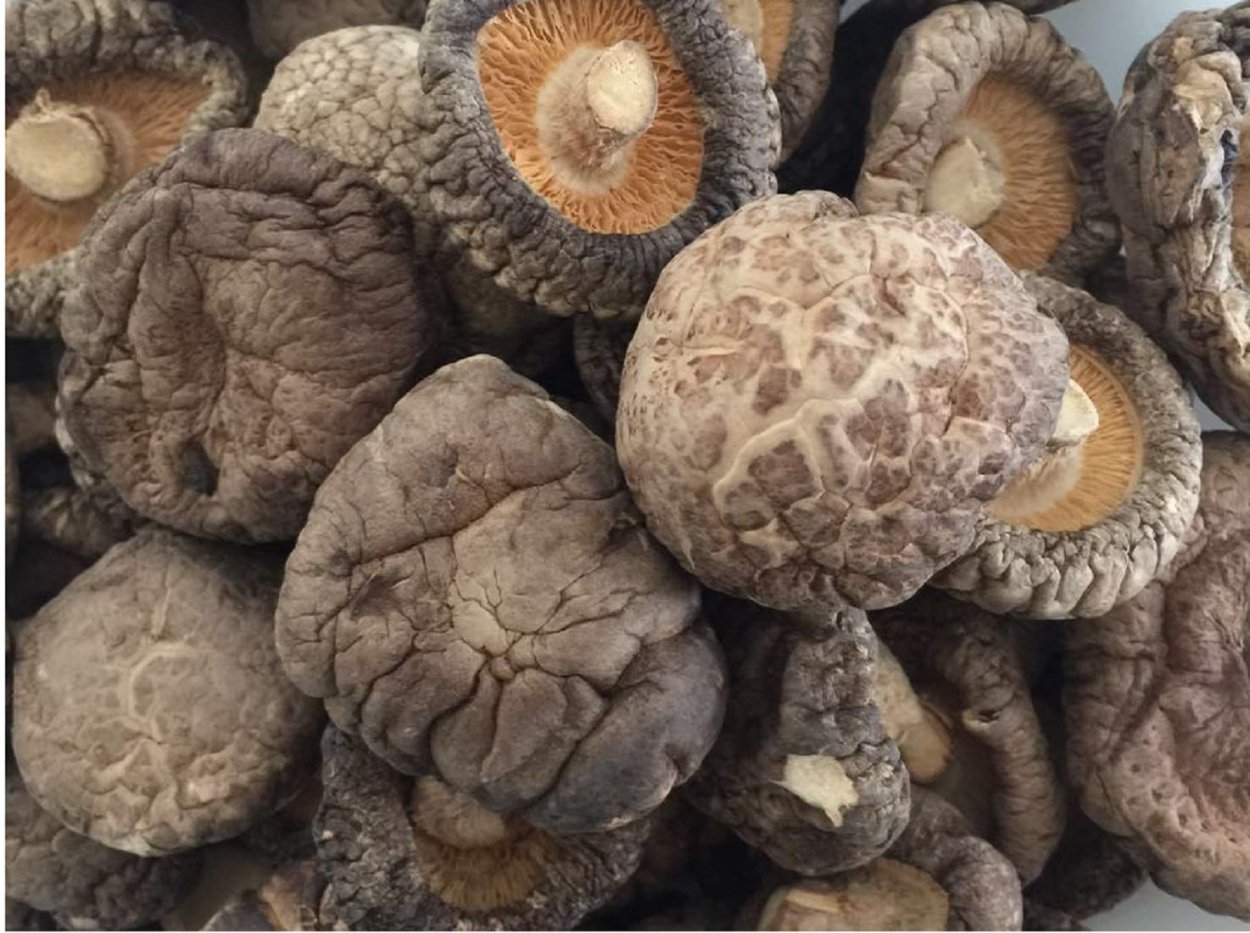 Chinese Mushroom