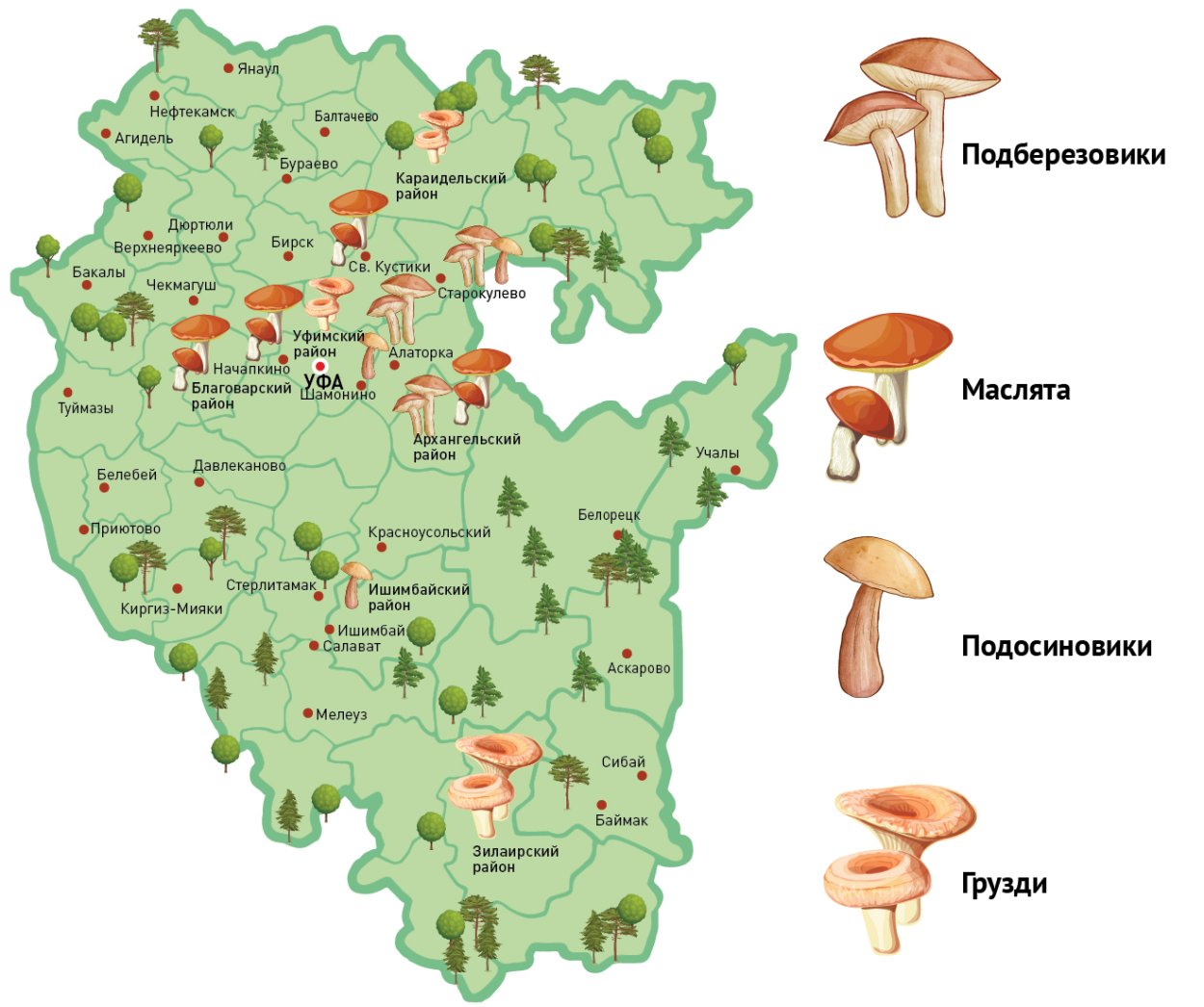 Грибная карта Воронежа белые грибы