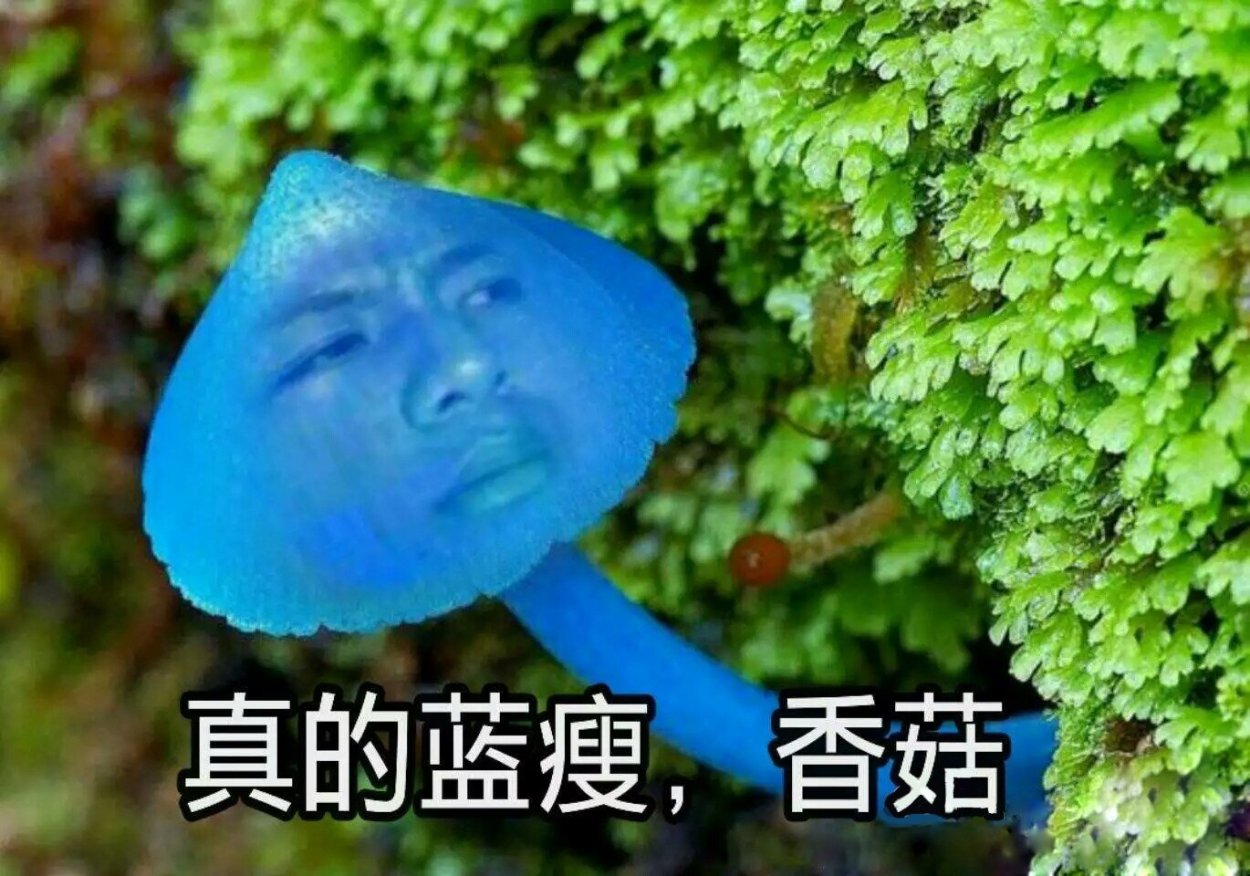 Китайские мемы