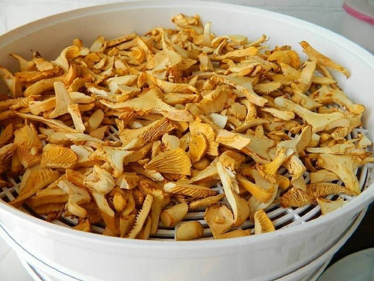 Грибы лисички, 500г