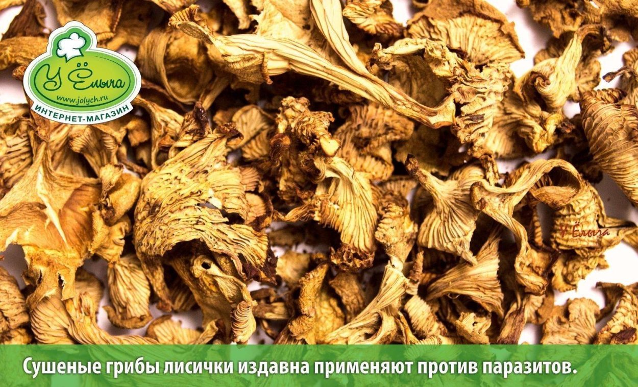 Лисички сушеные грибы 100 г