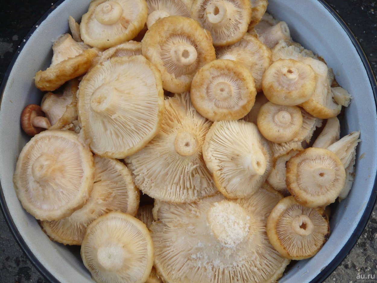 Курица с грибами