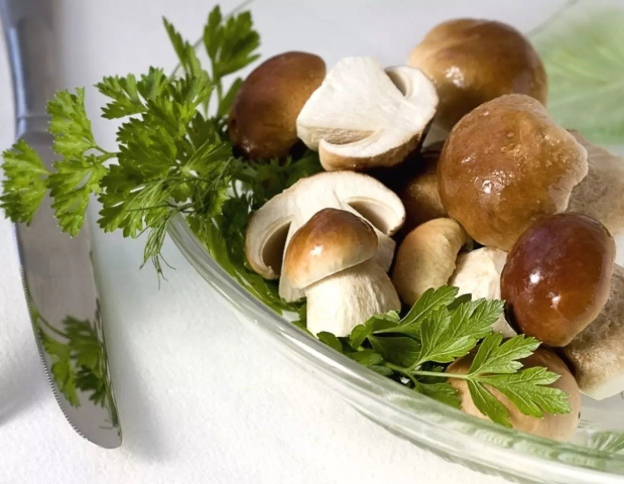 Рядовка серая Tricholoma portentosum.