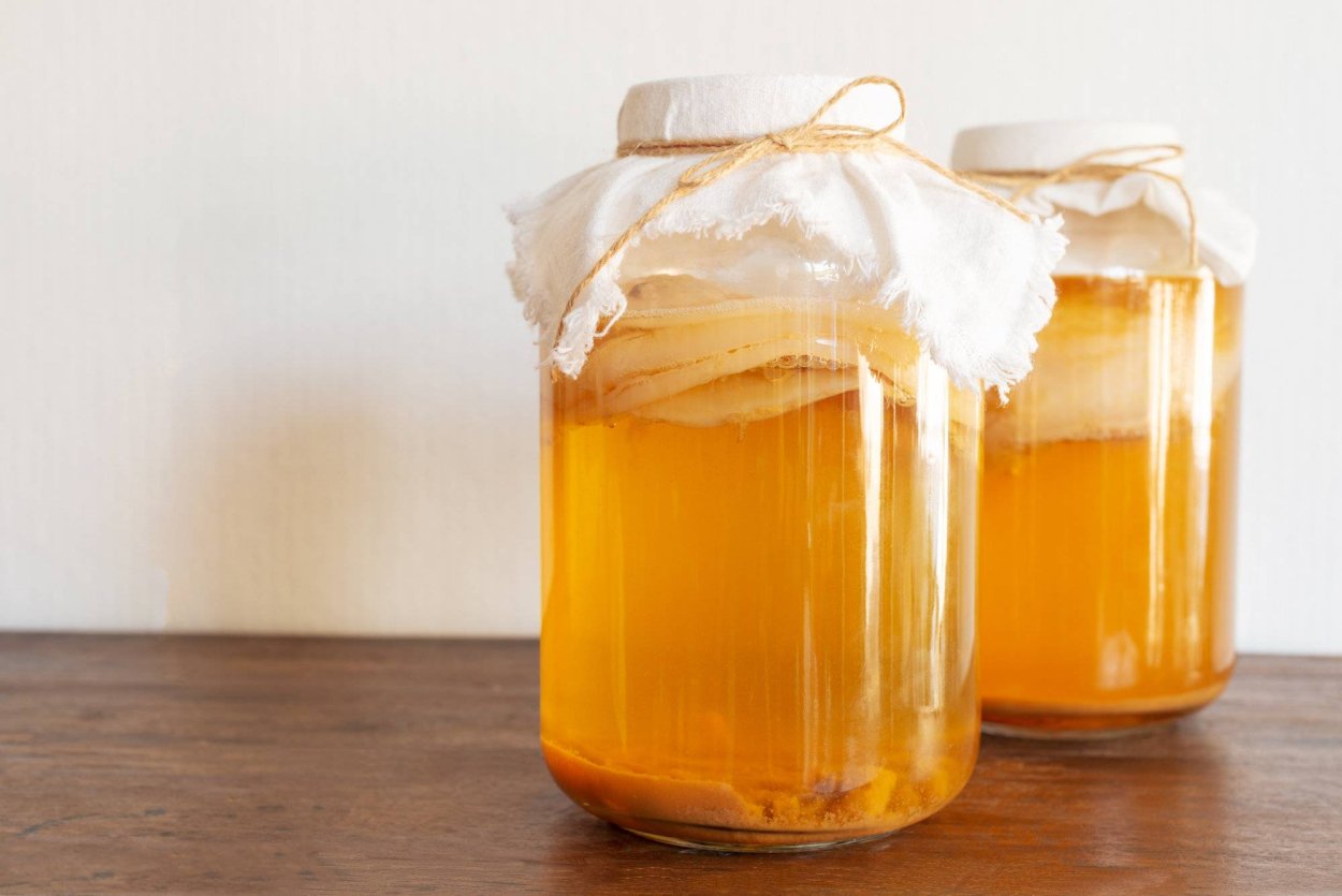 Kombucha чайный гриб