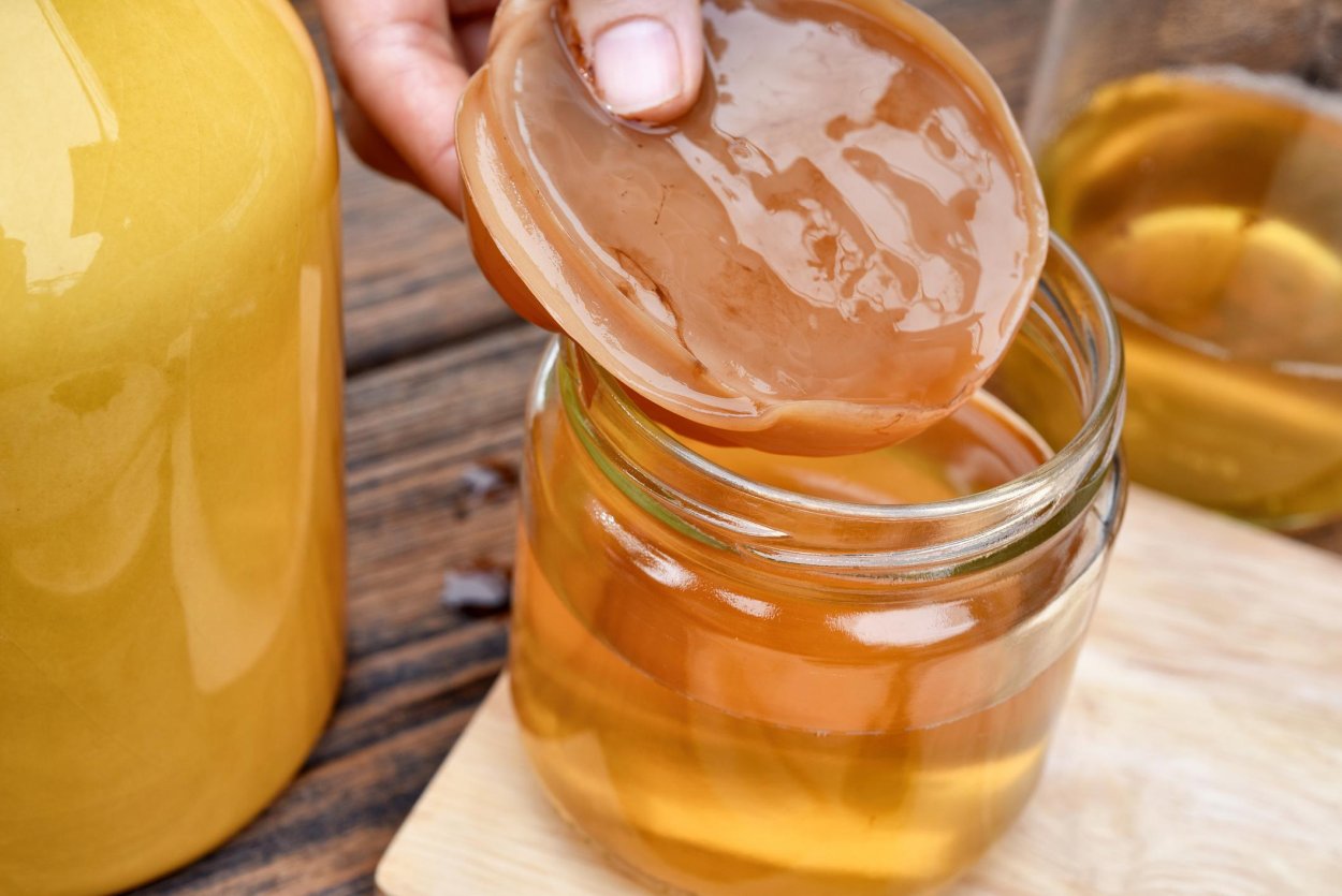 Kombucha чайный гриб