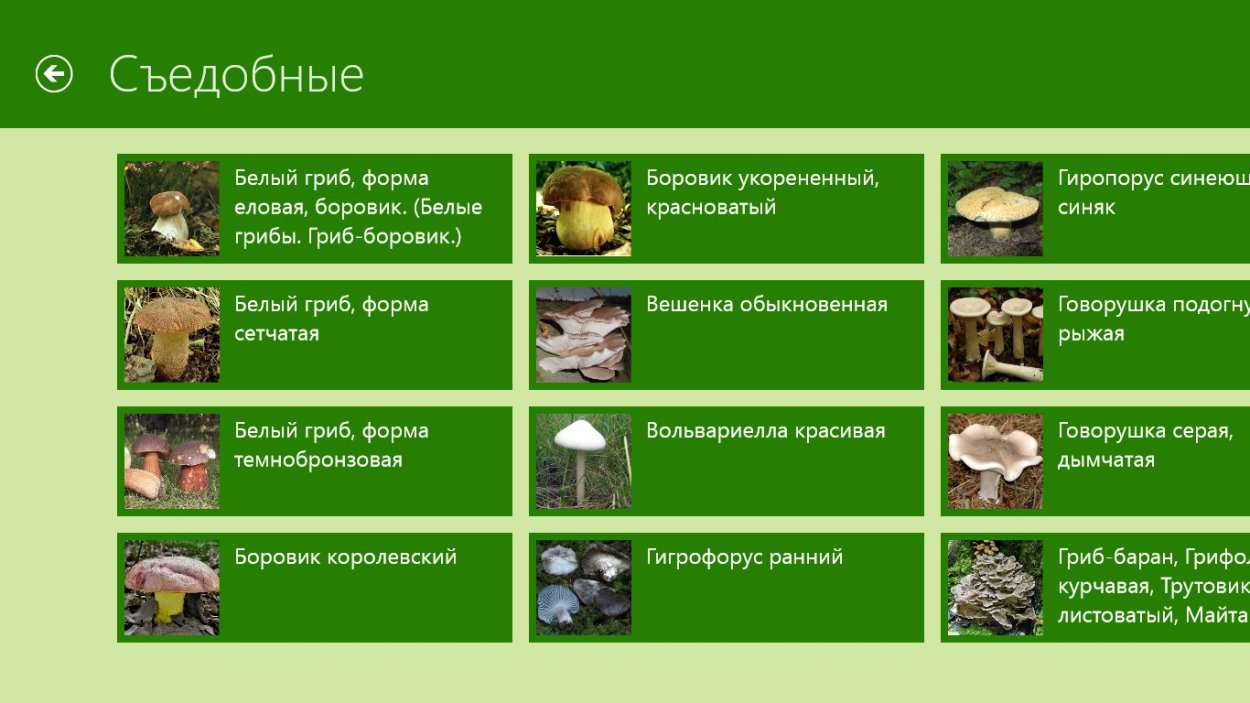 Грибы съедобные и несъедобные с названиями