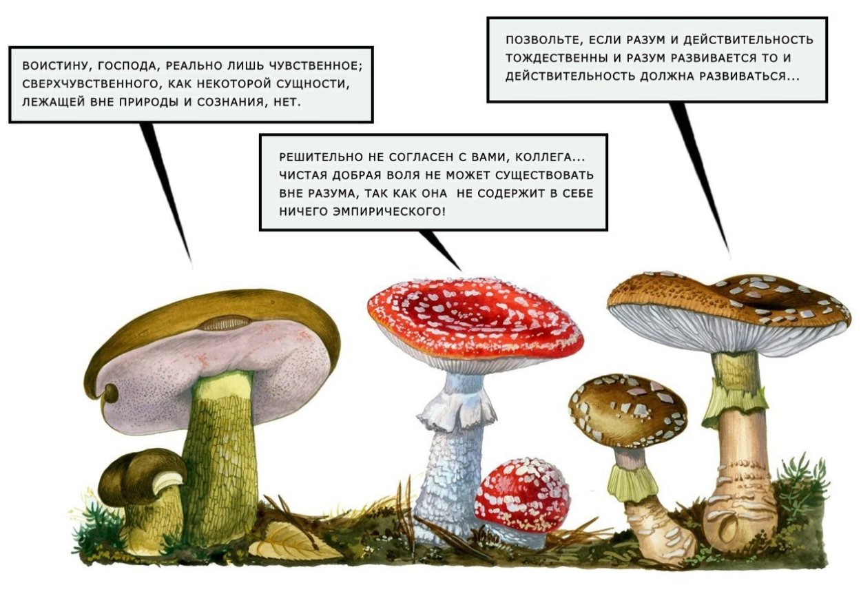 Галлюциногенные грибы псилоцибин