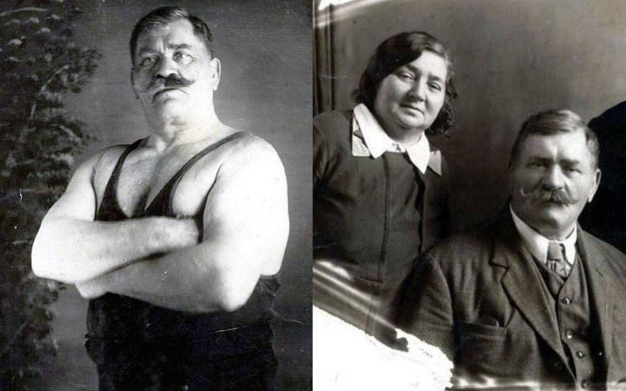 Самые популярные грибы