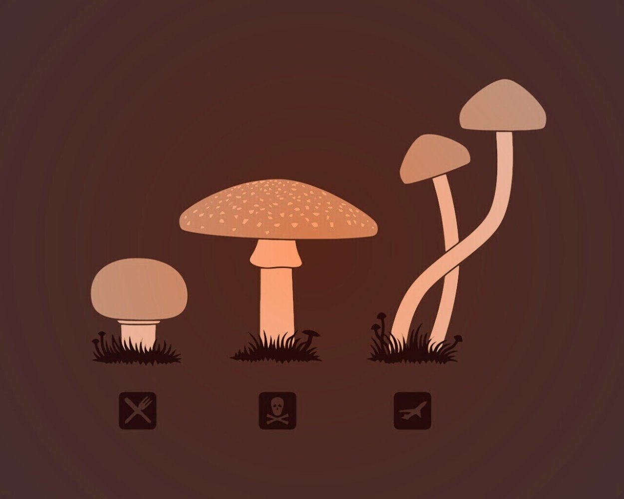 Псилоцибин грибы рисунок