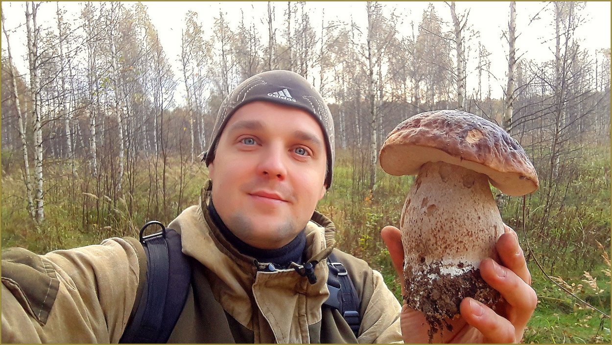 Белый гриб