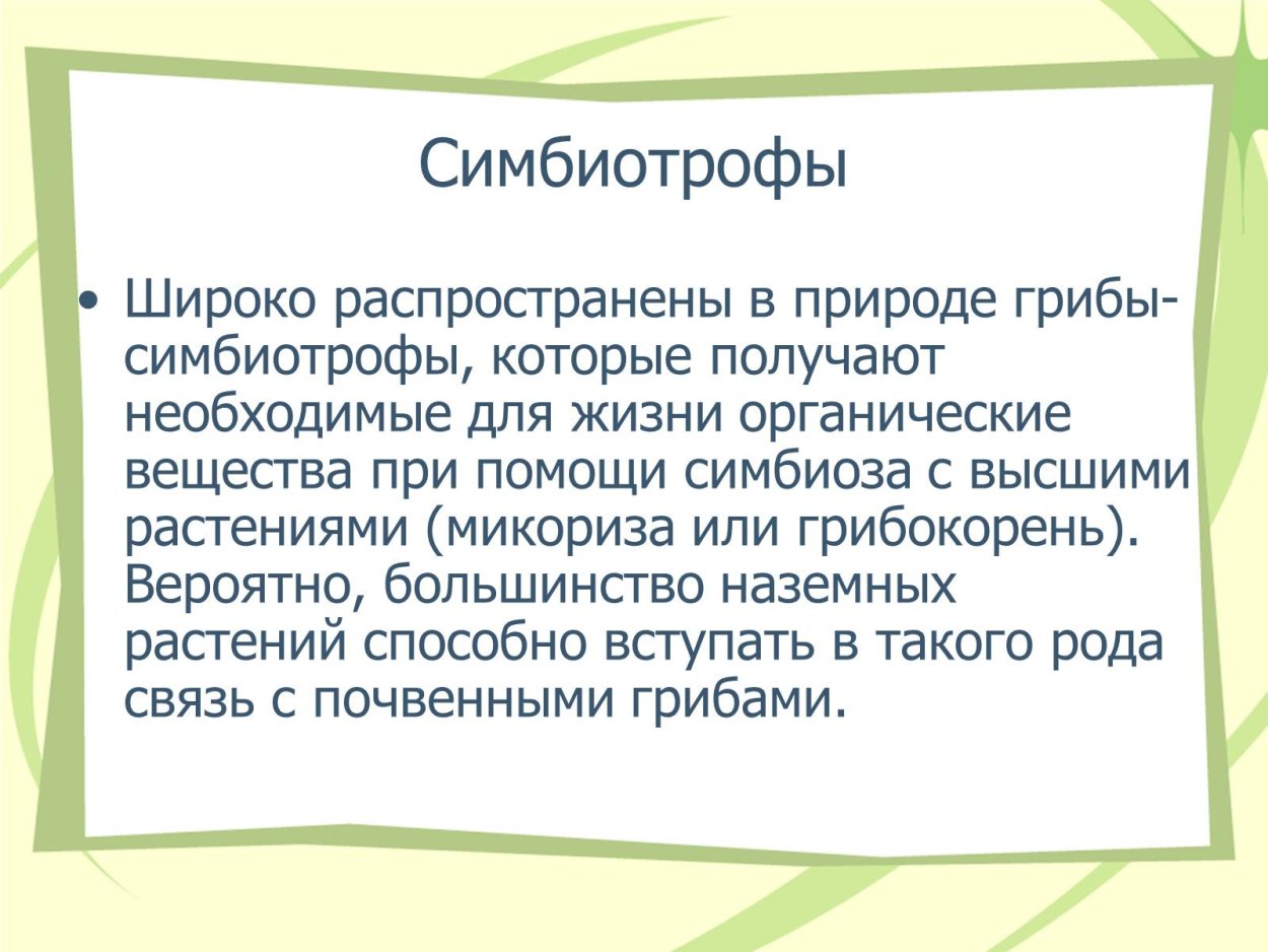 Симбиотрофы это кратко