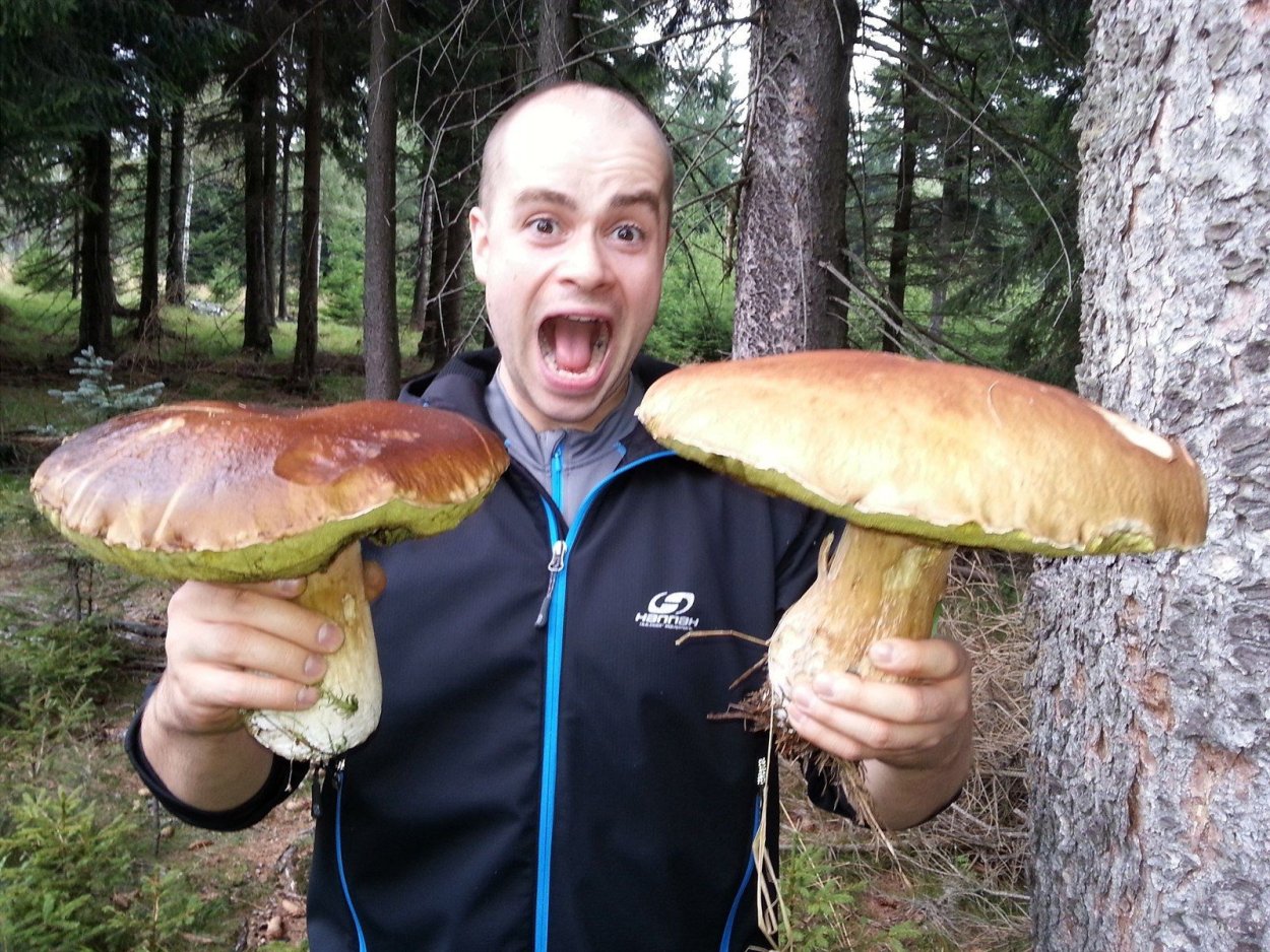 Моховик бархатный