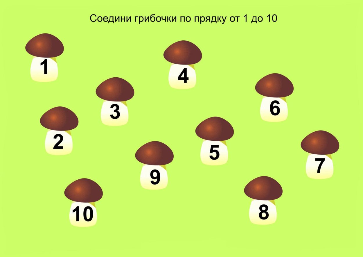 Грибники в лесу