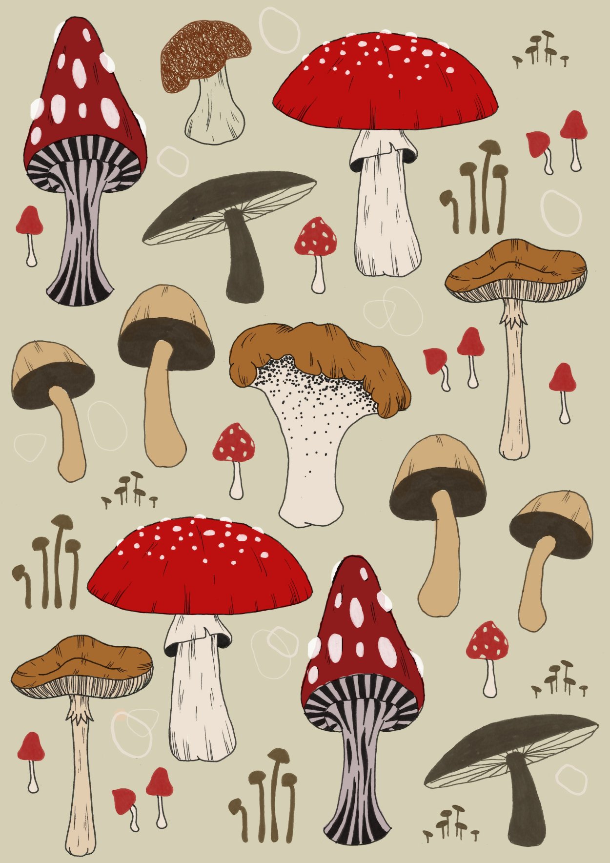 Гриб Marasmius