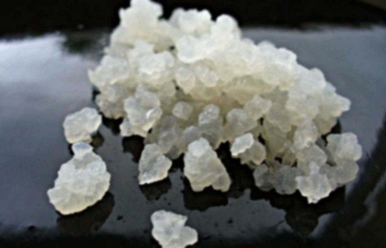 Water kefir