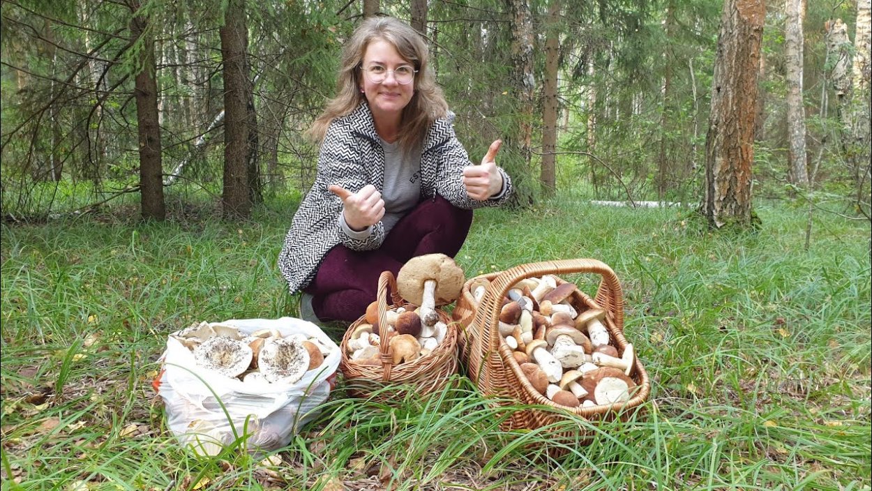 Печенье гриб Боровик