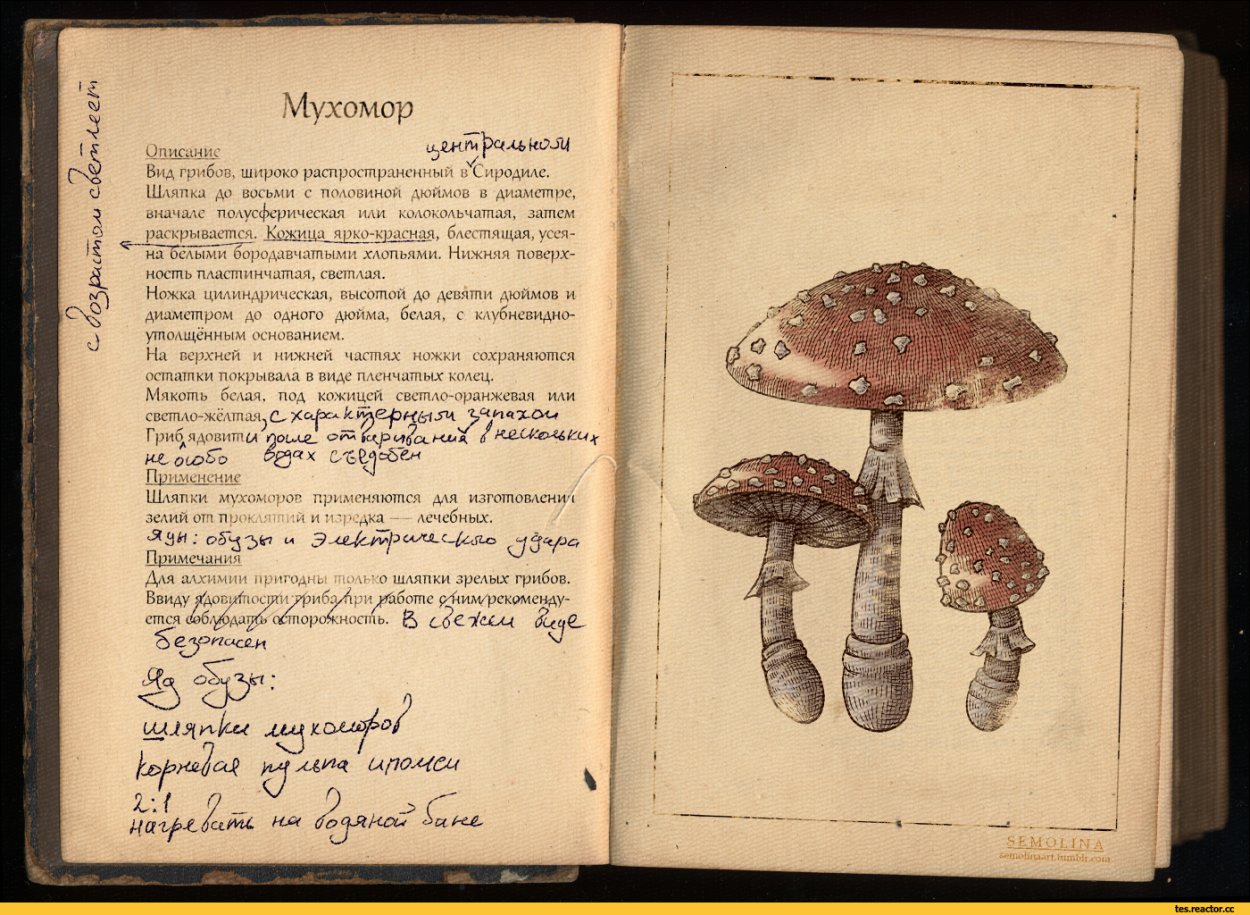 Мухомор с книжки