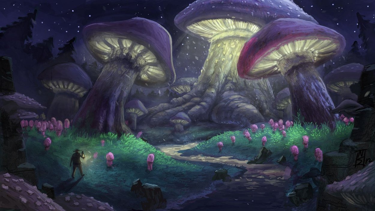 Грибница опенка темного Armillaria ostoyae