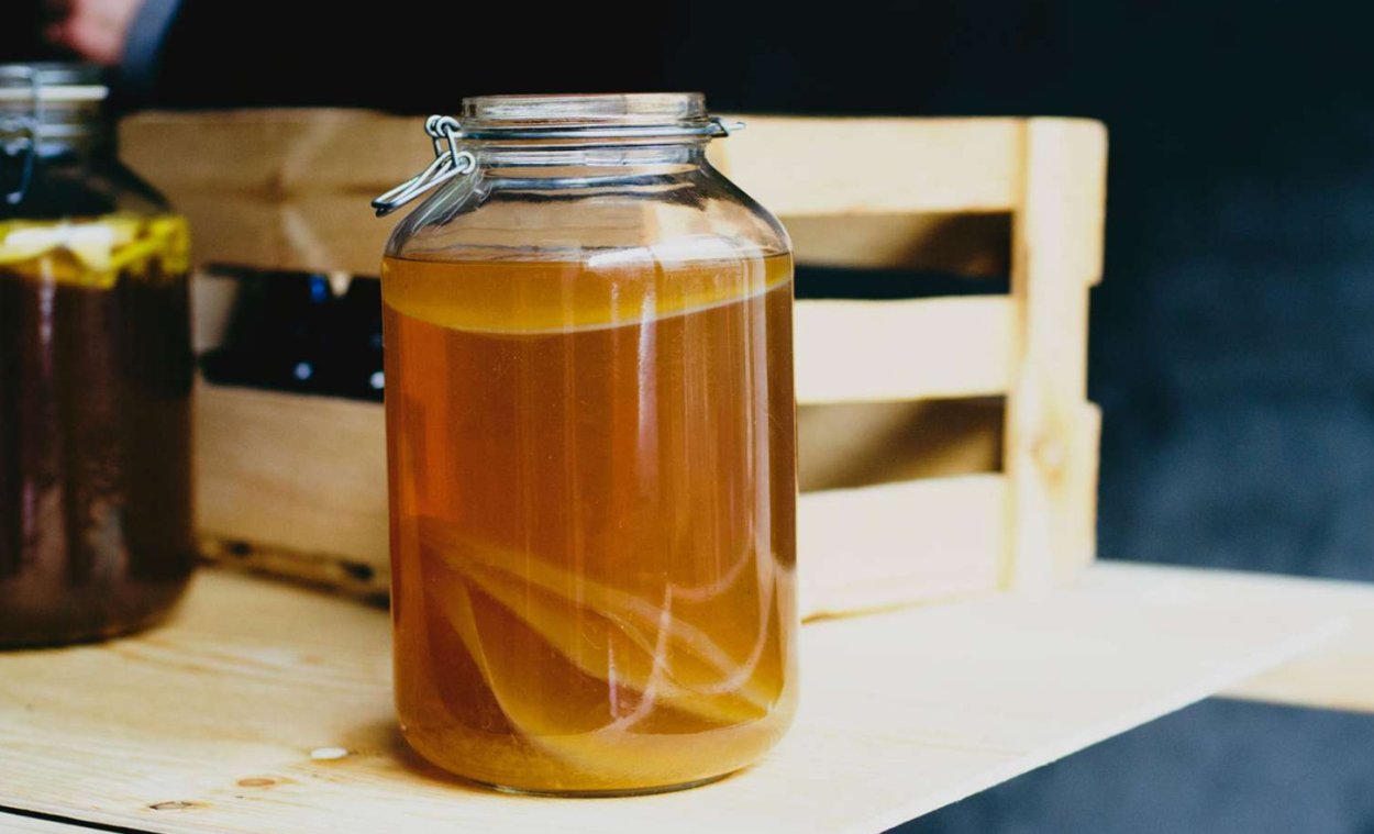 Kombucha чайный гриб