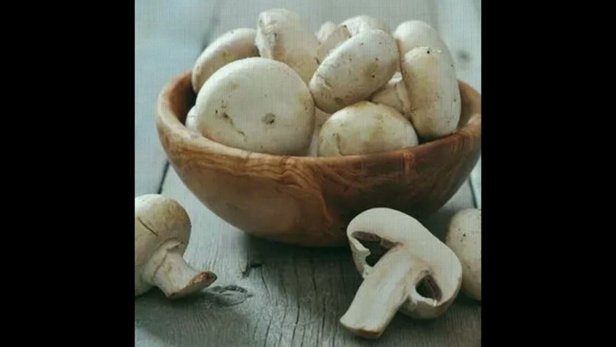 Шампиньоны красивые