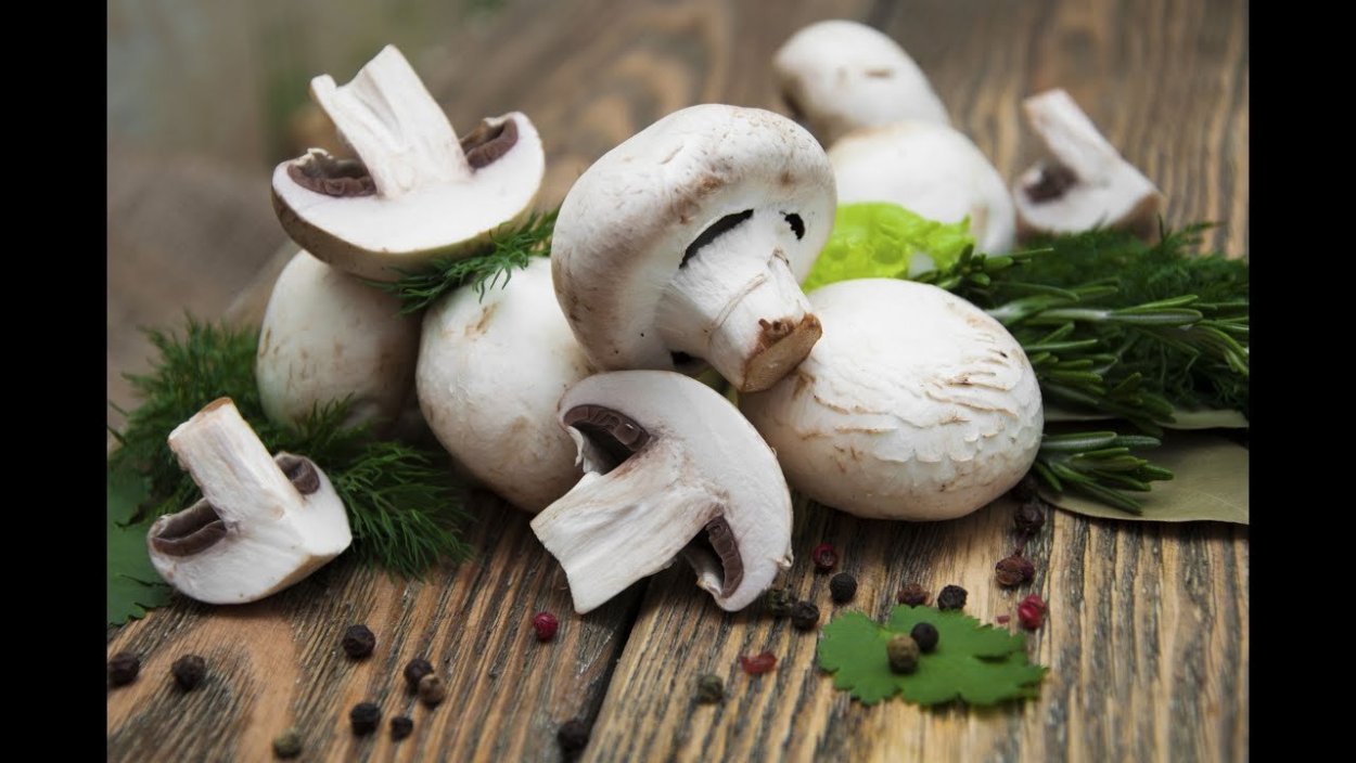 Champignons шампиньоны 3100