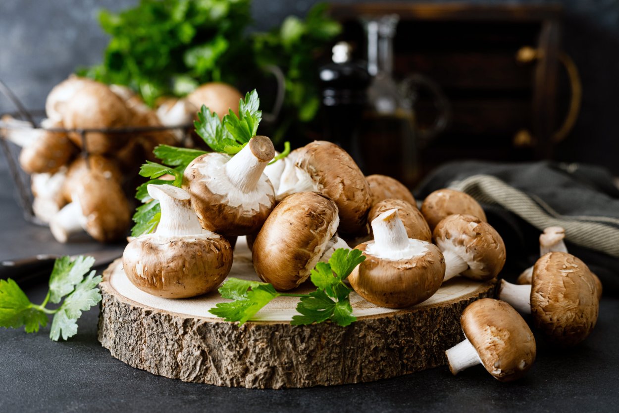 Champignons шампиньоны 3100